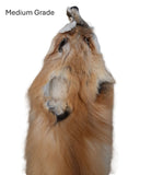 Red Fox Pelt