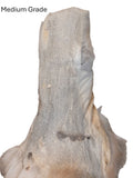 Red Fox Pelt