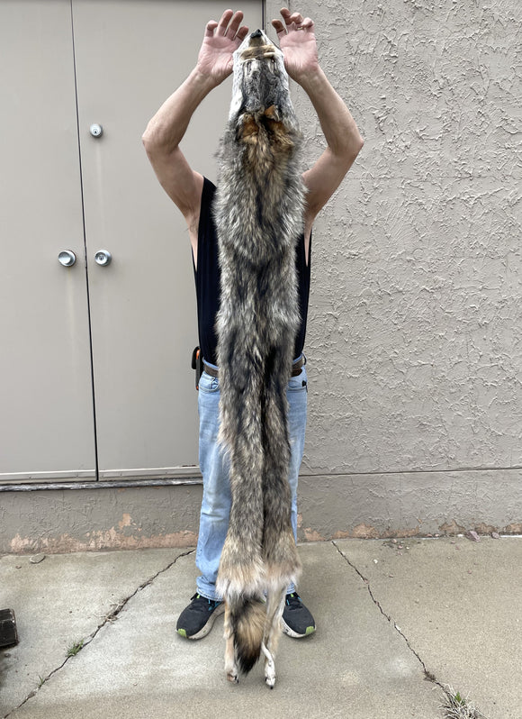 Timber Wolf - TW12