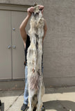 LARGE Timber Wolf, Heavy Fur - TW10