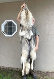 Timber Wolf, Alberta Canada, 66" pale western TW1