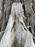 Timber Wolf, Alberta Canada, 68" pale western TW1