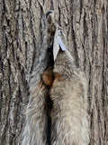 Huge Timber Wolf, 78" TW4