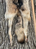 Timber Wolf, 67" tip-tip TW8