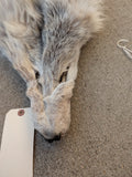 Timber Wolf,  With Legs and Feet, 72" TW14