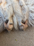 Timber Wolf,  With Legs and Feet, 72" TW14