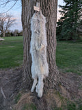 Timber Wolf,  With Legs and Feet, 72" TW14