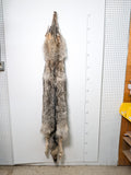 Timber Wolf,  With Legs and Feet, 74" W26