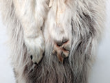 Timber Wolf,  With Legs and Feet, 74" W26