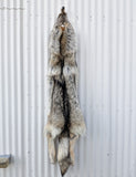 Gorgeous Timber Wolf!  With Legs and Feet, 63" W13 (Copy)
