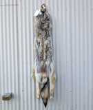 Gorgeous Timber Wolf!  With Legs and Feet, 63" W13 (Copy)