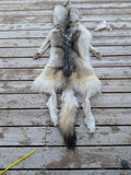 Huuuuge Timber Wolf, with Legs and Feet, 77" W24