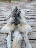 Huuuuge Timber Wolf, with Legs and Feet, 77" W24