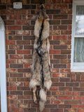 Beautiful, Well Furred Timber Wolf!  With Legs and Feet, 58" W23