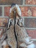 Beautiful, Well Furred Timber Wolf!  With Legs and Feet, 58" W23