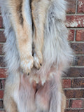 Stunning well Furred Timber Wolf!   With Legs and Feet, 60" W18