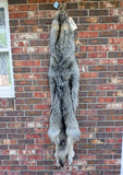 Stunning well Furred Timber Wolf!   With Legs and Feet, 63" W11