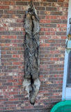 XXL Timber Wolf!   With Legs and Feet, 64" W22 (Copy)