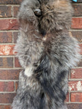 Damaged XXL Timber Wolf!   With Legs and Feet, 71" W20