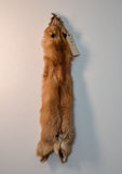 Red Fox for sewing SB1