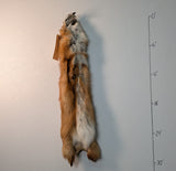 Red Fox for sewing SB1
