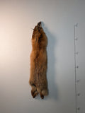 Red Fox for sewing SB4