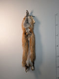 Red Fox for sewing SB4