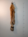 Red Fox for sewing SB6