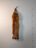 Red Fox for sewing SB9