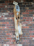Red Fox for sewing SB10