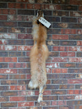 Red Fox for sewing SB11