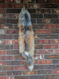 Red Fox for sewing SB12