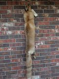Red Fox for sewing SB15