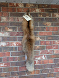 Red Fox for sewing SB16