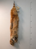 Red Fox for sewing SB49