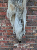 Timber Wolf!   With Legs and Feet, 58" W33