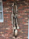 Timber Wolf!   With Legs and Feet, 65" W34