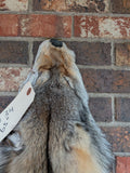 Timber Wolf!   With Legs and Feet, 65" W34