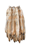 Rare Red Coyote Pelt, Tanned