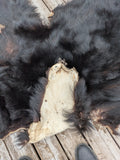 Black Bear, very large and well furred. 73" nose to tail BR1