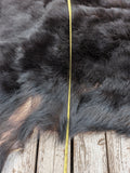Black Bear, very large and well furred. 73" nose to tail BR1