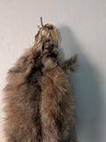 Canadian Lynx, (Lynx2)