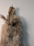 Canadian Lynx, (Lynx2)