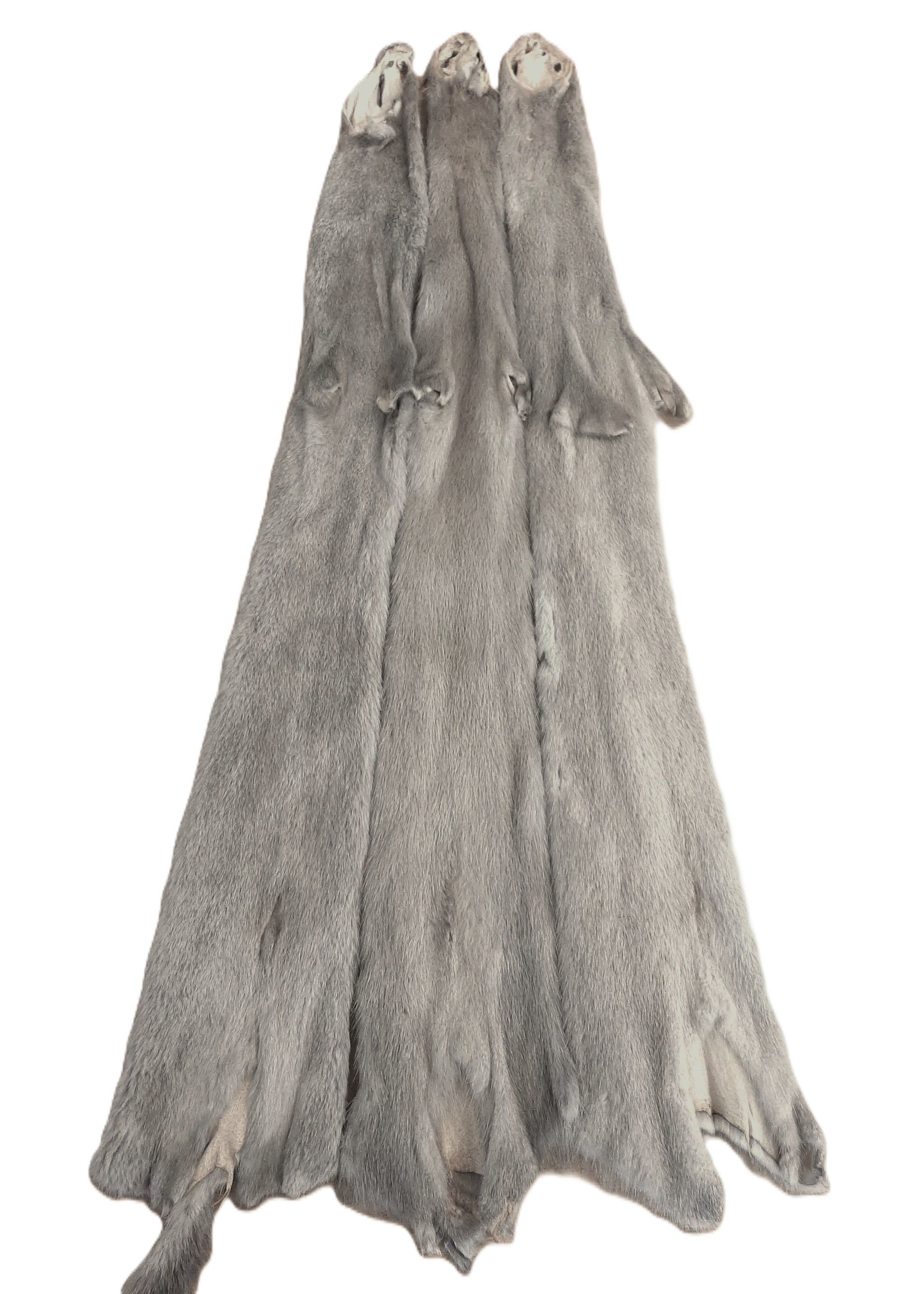 Ranched Mink Pelt, Silver Blue/Grey Blue – Dakotaline Furs