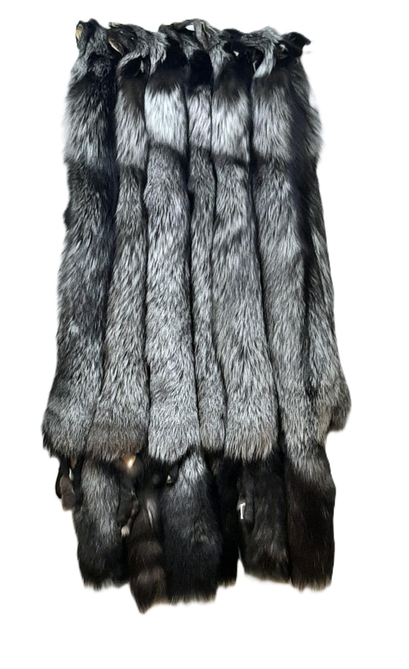 Silver Fox