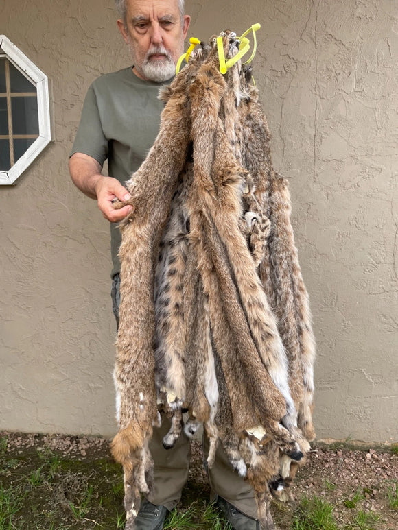 Bobcat Pelt