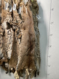 Bobcat Pelt