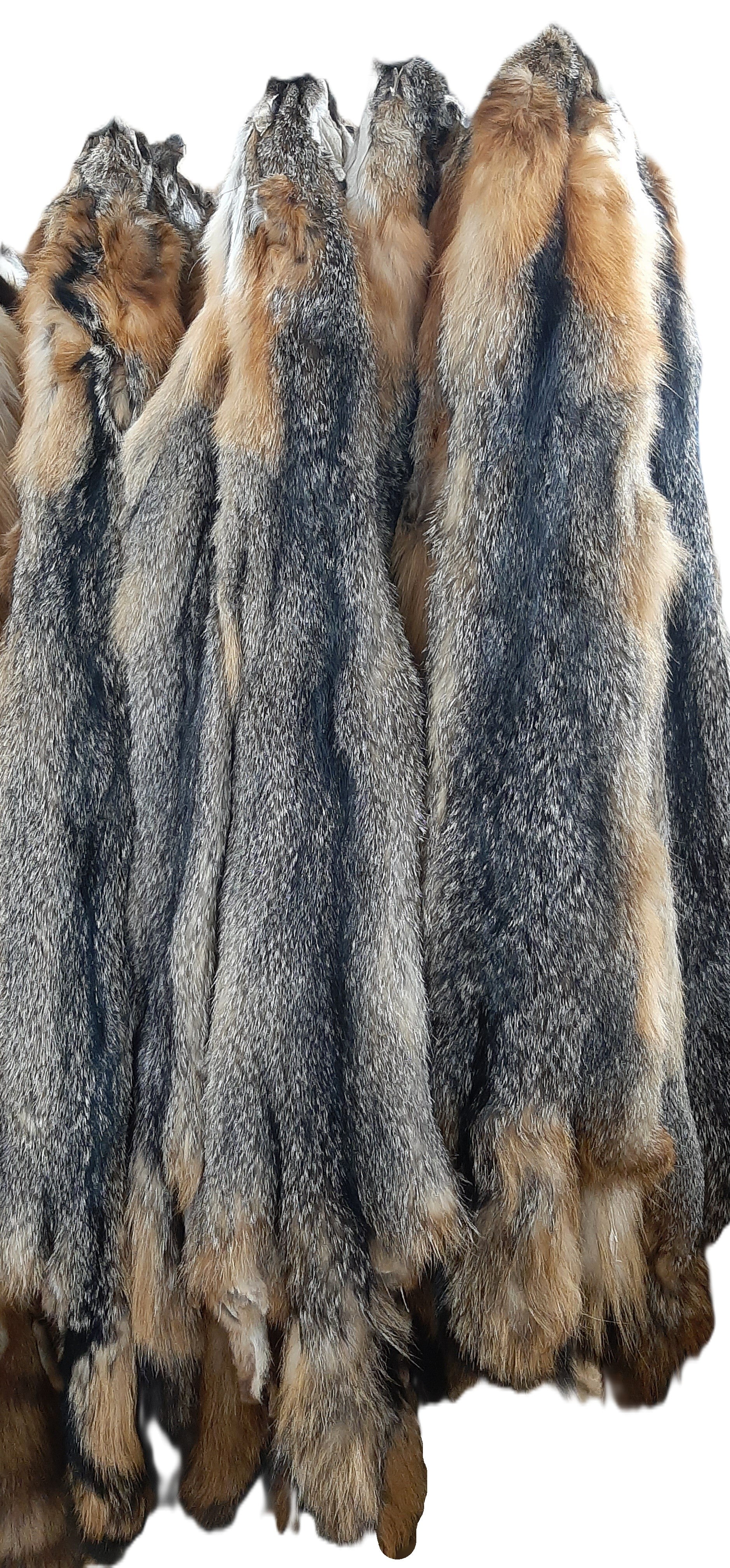 Grey Fox – Dakotaline Furs