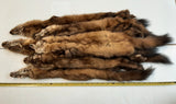 Pine Marten, Gold