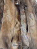 Pine Marten (Sable)